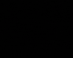 Imagem de Carregamento