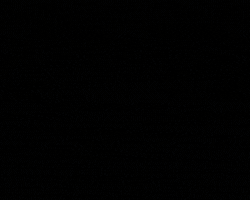 Imagem de Carregamento